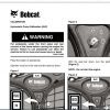 BOBCAT BATS 05.2021 [ Bobcat Advanced Troubleshooting System ] - Image 3