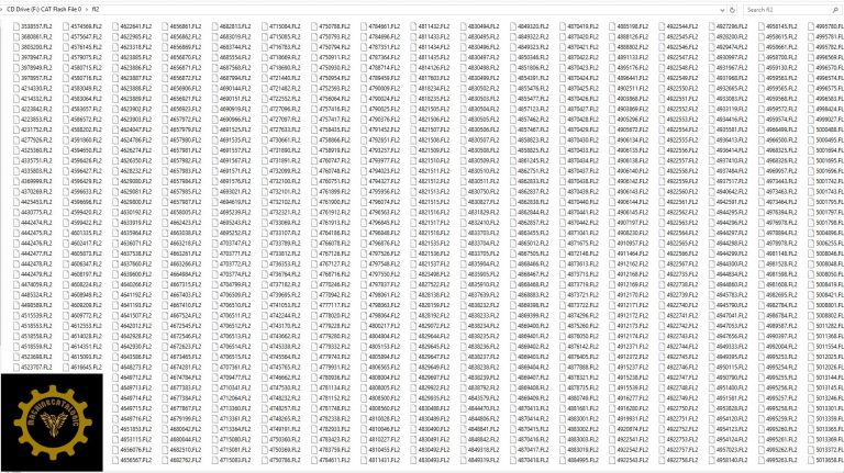 Caterpillar Flash files