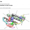 Komatsu Service Manual 03.2025 – All Models | PDF Download (170 GB) for Construction & Mining - Image 3