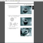 New Holland Service Manual PDF