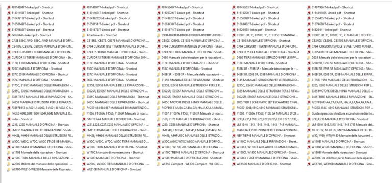 New Holland Service Manual ITALIAN machinecatalogic.com