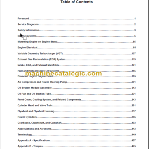 NAVISTAR EGES-335-1 ENGINE SERVICE MANUAL