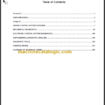 NAVISTAR EGES175-1 DIAGNOSTIC MANUAL