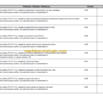 LIEBHERR LTM1130 5.1 LICCON ERROR CODE