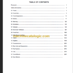 NAVISTAR DuraStar WorkStar Technician Service Diagnostic Manual