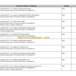 LIEBHERR LTM1130 5.1 LICCON ERROR CODE