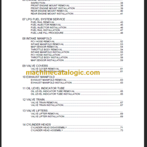 NAVISTAR PSI 8.8L Service MANUAL