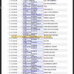 LIEBHERR LTM1100 4.2 PARTS CATALOGUE EN DE FR SP RU