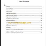 NAVISTAR EGES-305-2 DIAGNOSTIC,TROUBLESHOOTING MANUAL