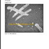 NAVISTAR MAXXFORCE15 EGES515 DIAGNOSTIC MANUAL