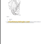 VOLVO MC60B SKID STEER SERVICE REPAIR MANUAL