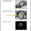 CLARK C500 235 LPG Planned Maint & Adj Manuals