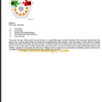 VOLVO EC700C L EXCAVATOR SERVICE REPAIR MANUAL