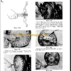 CLARK GPH DPH 50 60 70 75 SERVICE MANUAL