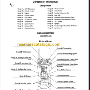 CLARK CGC CGP CDP 20-30 SHOP MANUAL