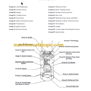 CLARK C15 18 20 D L G SERVICE MANUAL