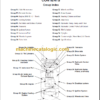 CLARK CGC 40 50 55 60 70 SERVICE MANUAL