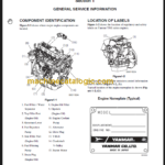 CLARK GTS20 25 30 33 D L SERVICE MANUAL