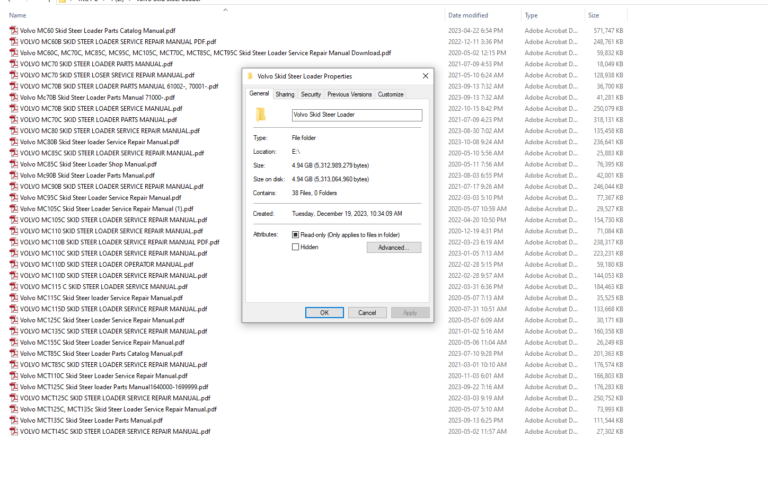 Volvo Skid Steer Loaders Service and Parts Manual