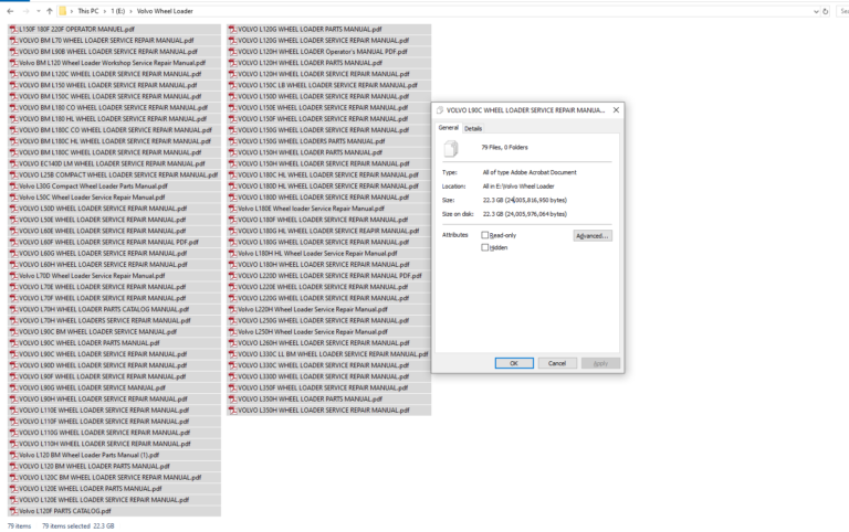 Volvo Wheel Loader Service and Parts Manual