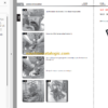MANITOU MI 100 D ST4 S2 REPAIR MANUAL