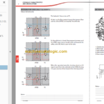 Manitou MLT-X 625-75 H SERIES 1-E3 Repair Manual