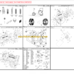 Manitou TMP25-TMP5500HT Parts Manual 800806