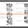 Hitachi MA100U Amphibious Excavator Service Manual - Image 2