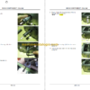 Hitachi ZV55R Vibratory Rammer Technicial and Workshop Manual