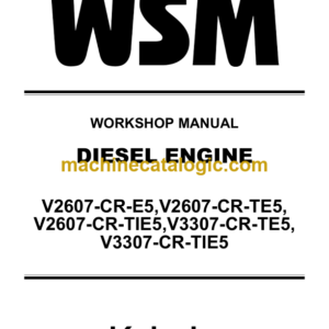 Kubota V2607-CR-E5 TE5 TI35 V3307-CR-TE5 TIE5 DIESEL ENGINE Workshop Manual