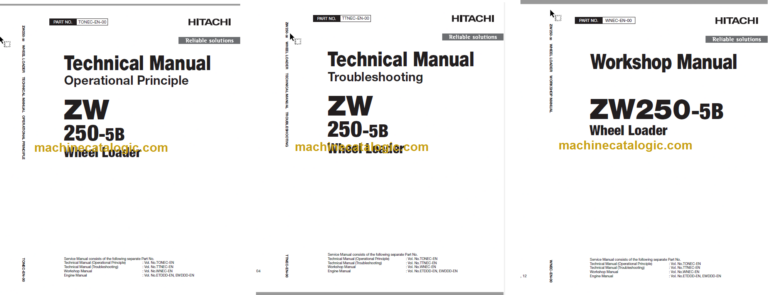 ZW250-5B Technical and Workshop Manual