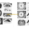 John Deere 1290 Planter Operator's Manual (OMB25563) - Image 4