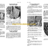 John Deere 5440 and 5460 Self-Propelled Forage Harvesters Operator's Manual (OME63867) - Image 3