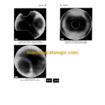 John Deere 115 Disk Operator's Manual (OMA48033)