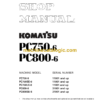 Komatsu PC750-6 PC800-6 Hydraulic Excavator Shop Manual (SEBM025305)