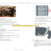 Epiroc Scooptram ST14 Stage 3A and Stage 3B Service Manual (Spanish) - Image 4