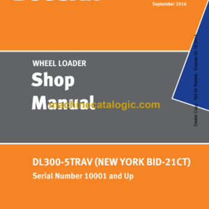 Doosan DL300-5TRAV New York BID-21CT Wheel Loader Shop Manual (Serial Number 10001 and Up)