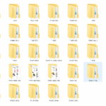 Caterpillar & Neuson Telehandler pdf manual