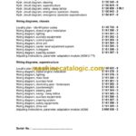 Grove GMK5095 Crane Circuit Diagrams