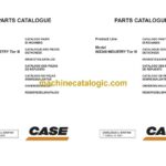 Case WX240 Industry Tier 3 Wheeled Excavator Parts Catalog (87697940)